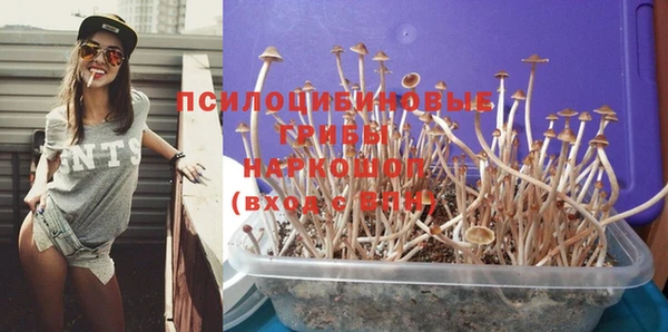 мдпв Наволоки
